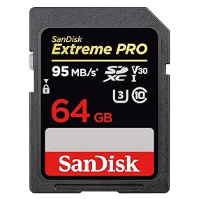 64GB Storage Chip